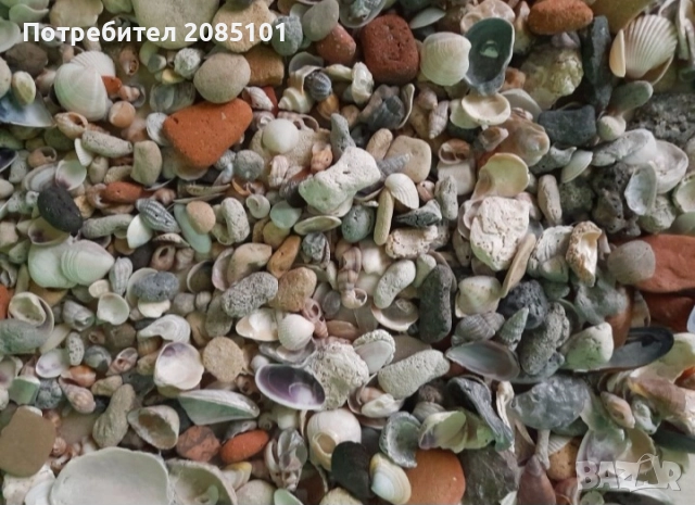 Морски мидички и камъчета, снимка 11 - Други стоки за дома - 52146747