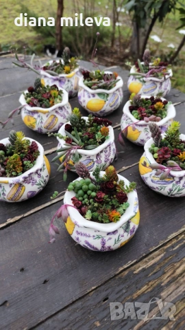 Гърнета аранжирани със сукуленти!, снимка 8 - Декорация за дома - 53206137