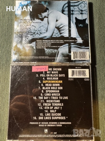 Alice In Chains - Soundgarden - Pearl Jam - Nirvana - Chris Cornel, снимка 12 - CD дискове - 51446892