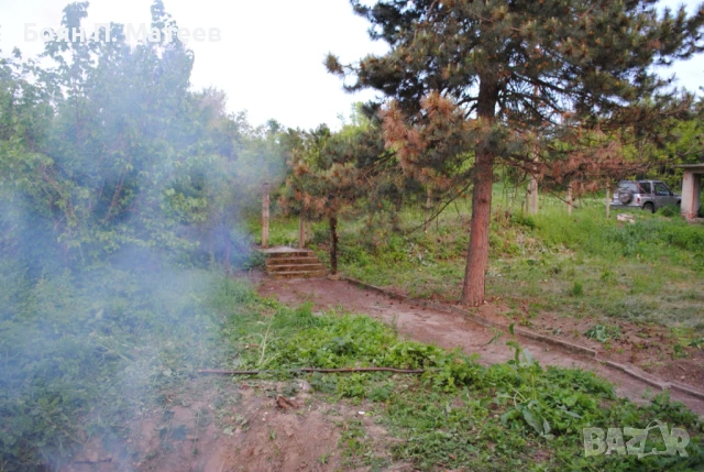 Продавам парцел 4200 кв.м. в регулация, с. Долно Линево, снимка 3 - Парцели - 50957229