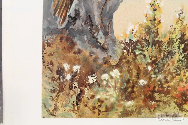 Акварел /автор-Никола Пилчев/ ''Кълвач'', снимка 2 - Картини - 49131527