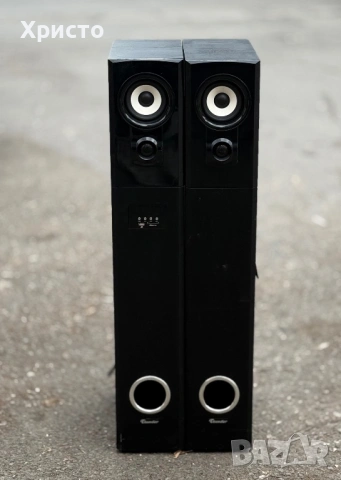 Тонколони THUNDER THS-P01BT, 2.0, 100W (50W + 50W), FM Radio, Bluetooth, USB, Слот за SD карти, снимка 2 - Тонколони - 53100311