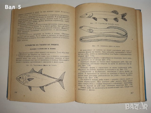 Наръчник на ловеца и риболовеца - Н . Ботев и др. 1974 г., снимка 8 - Специализирана литература - 33181858