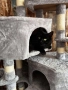 Катерушка за котка 150 см висока, снимка 7