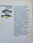 На риболов- къде ? Пътеводител , снимка 2