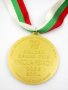 Награден златен медал-Победител-Турнир Никола Петров-Златен медалист, снимка 6