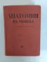 Анатомия на човека, снимка 1