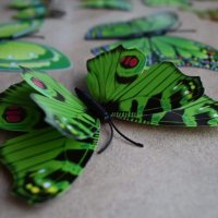 3Д пеперуди за декорация, снимка 5 - Декорация за дома - 32818290