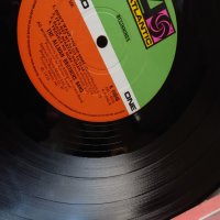 Грамофонни плочи The Allman Brothers Band ‎– Beginnings, снимка 4 - Грамофонни плочи - 39653761