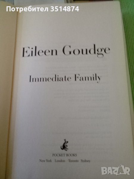 Eileen Goudge Immediate Family hardcover 2006г., снимка 1