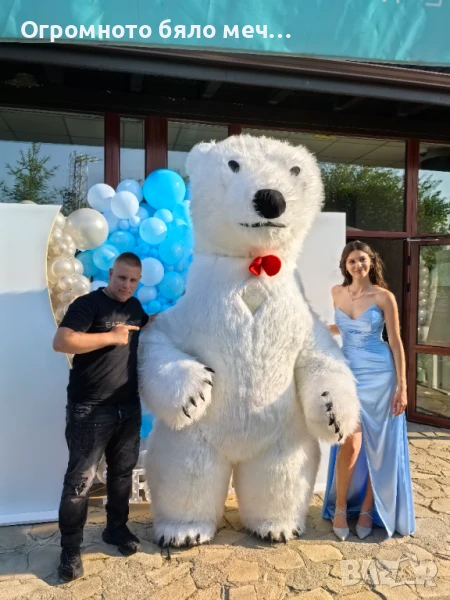Изненада с огромна бяла мечка , снимка 1