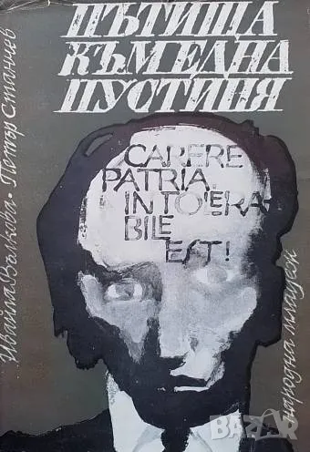 Пътища към една пустиня Ивайла Вълкова, Петър Станчев, снимка 1