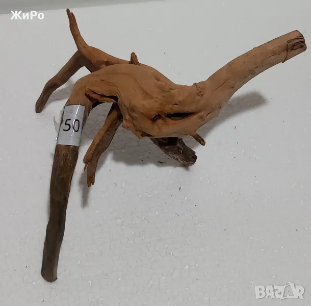 Корен от Азалия /декорация/ 50, снимка 1