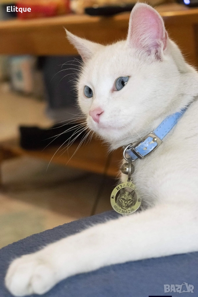 медальони за кучета от неръждаема стомана , снимка 1