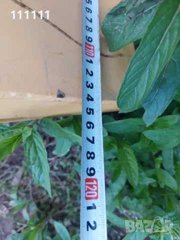 Количка за гуми и варели нова тип  палетна , снимка 16 - Индустриална техника - 47729983