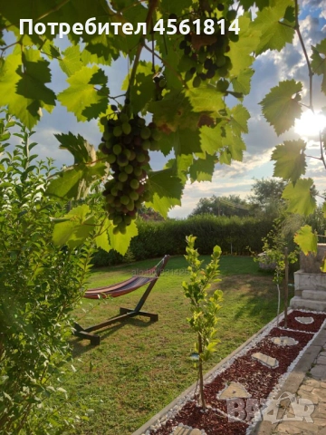 Атрактивна къща в с.Добри дол, Първомай, снимка 12 - Къщи - 52218301