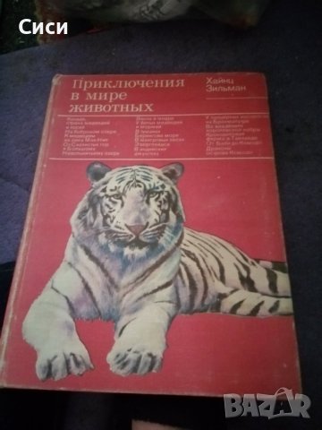 Приключения в мире животных