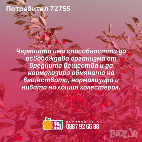 100% СТУДЕНО ПРЕСОВАН НАТУРАЛЕН СОК ОТ ЧЕРЕШИ, снимка 5 - Домашни напитки - 34919859