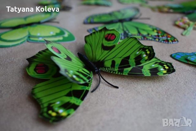 3Д пеперуди за декорация, снимка 5 - Декорация за дома - 32818290