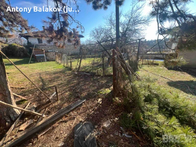 Къща с 2 декара двор , с. Арбанаси, снимка 8 - Къщи - 53192088