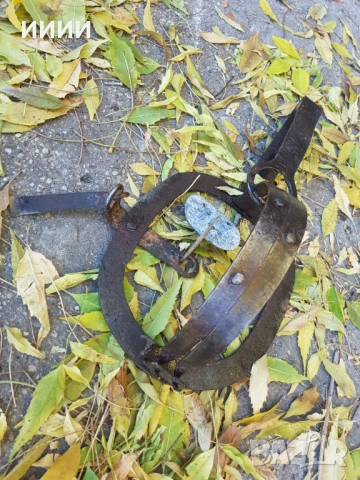 Стъпков капан със зъби 3
