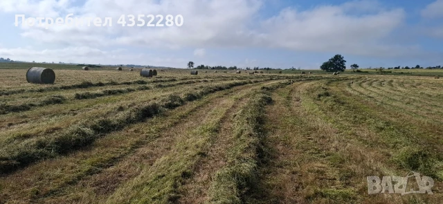 Бали ливадно сено ., снимка 3 - За селскостопански - 50734711