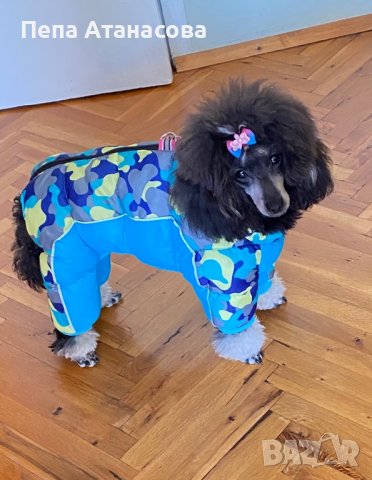 Гащеризон за куче, снимка 3 - За кучета - 37869565