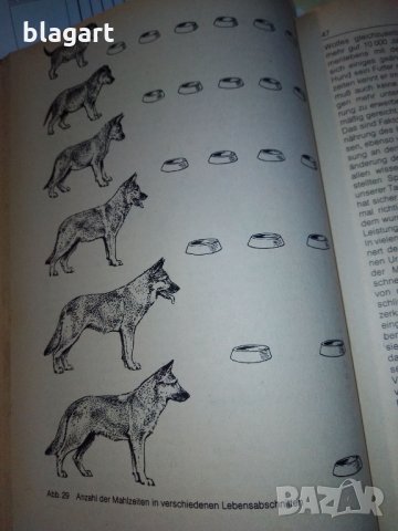 "Енциклопедия на кучето"-Германия, снимка 11 - Специализирана литература - 33458448