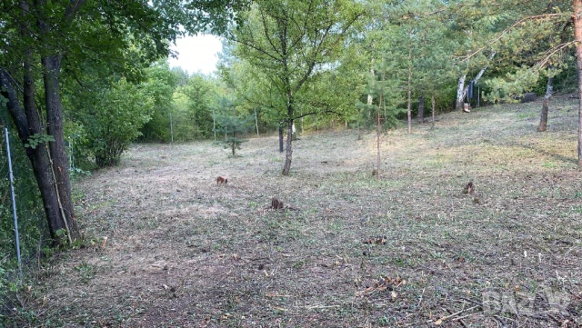 Продавам дворно място в гр. Банкя, местност Мъртвака, 1065 м2, снимка 5 - Парцели - 51089427