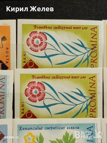 Стари пощенски марки без печат ЦВЕТЯ РУМЪНИЯ за КОЛЕКЦИЯ ДЕКОРАЦИЯ 52020, снимка 5 - Филателия - 53227487