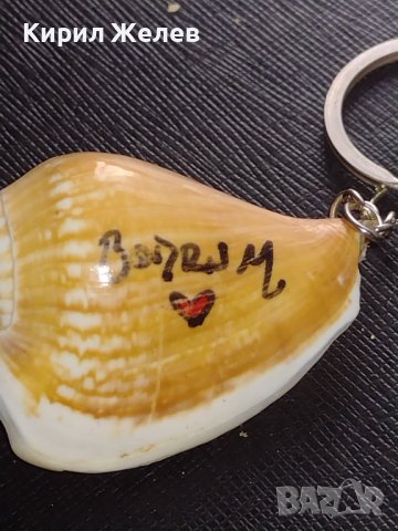 Ключодържател сувенир от морето екзотичен рапан много красив 42652, снимка 2 - Други - 43682244