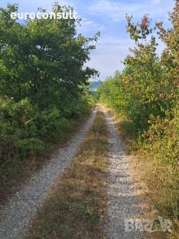 Парцел гр Севлиево 3605 кв.м ,местност "Севлиевски лозя",високата част , снимка 2 - Парцели - 52206441