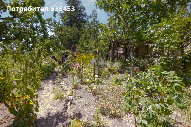 Продава 105 м2 добре поддържана къща с 3520 двор, на 15 км от морето, снимка 3 - Къщи - 51062798
