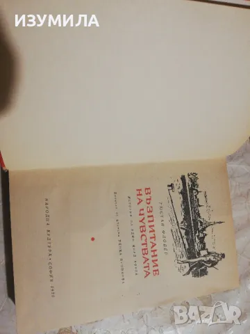 Възпитание на чувствата - Гюстав Флобер, снимка 2 - Художествена литература - 49338411