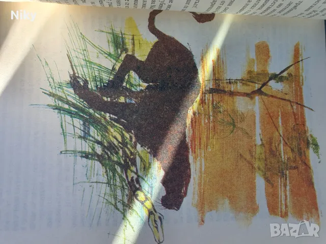 Книга за джунглата , снимка 4 - Детски книжки - 49494772