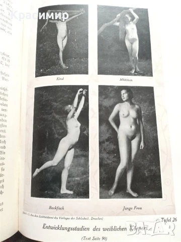 Семеен Лекар .1926 г.д-р мед.Бела Мюлер., снимка 14 - Антикварни и старинни предмети - 51139029