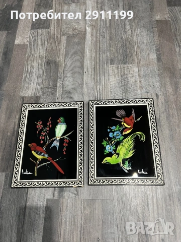 Стъклена картина с птици, комплект от 2бр., снимка 8 - Картини - 53395933