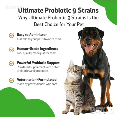 Pet Wellbeing Ultimate Probiotic 9 щама за кучета и котки - Здравословно храносмилане, 320 гр, прах, снимка 4 - За кучета - 48238100