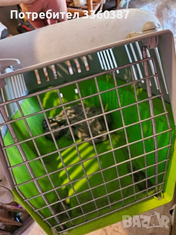 кош за животни, снимка 2 - За кучета - 52100075