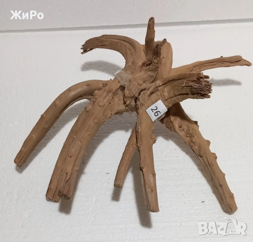 Корен от Азалия /декорация/ 26, снимка 2 - Други - 53396803