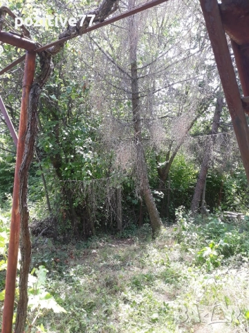 Продавам Имот с Вила на Кенана -Хасково, снимка 15 - Вили - 51552839