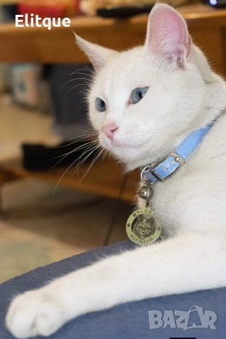 медальони за кучета от неръждаема стомана 