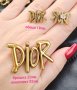Брошка и обеци Dior , снимка 1 - Обеци - 43672380