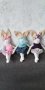 Текстилни зайчета за декорация - мадами , снимка 1 - Кукли - 28161847