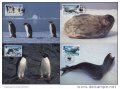 Британска антарктическа територия 1992 - 4 бр., снимка 1 - Филателия - 38788864
