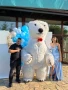 Изненада с огромна бяла мечка , снимка 1