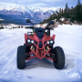 Бензиново ATV MaxMotors Grizzly Sport 200cc, снимка 1 - Мотоциклети и мототехника - 44878049