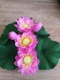 Цветя от креп хартия-лотос, снимка 1 - Изкуствени цветя - 26291938