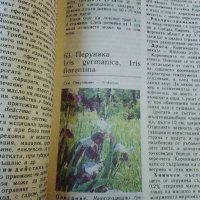 Книга "ПРИРОДНА АПТЕКА", снимка 3 - Други - 28389601