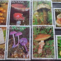 Пощенски марки чиста комплектна серия Гъби стари редки за колекция декорация - 22047, снимка 3 - Филателия - 36642280